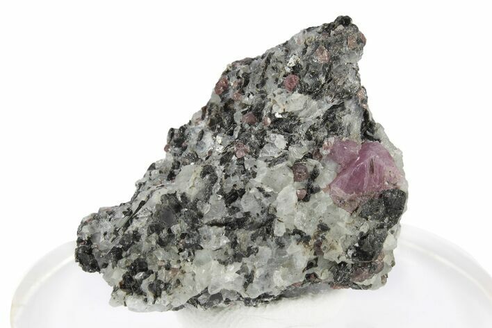 Fluorescent Ruby and Almandine Garnets in Matrix - Russia #247160